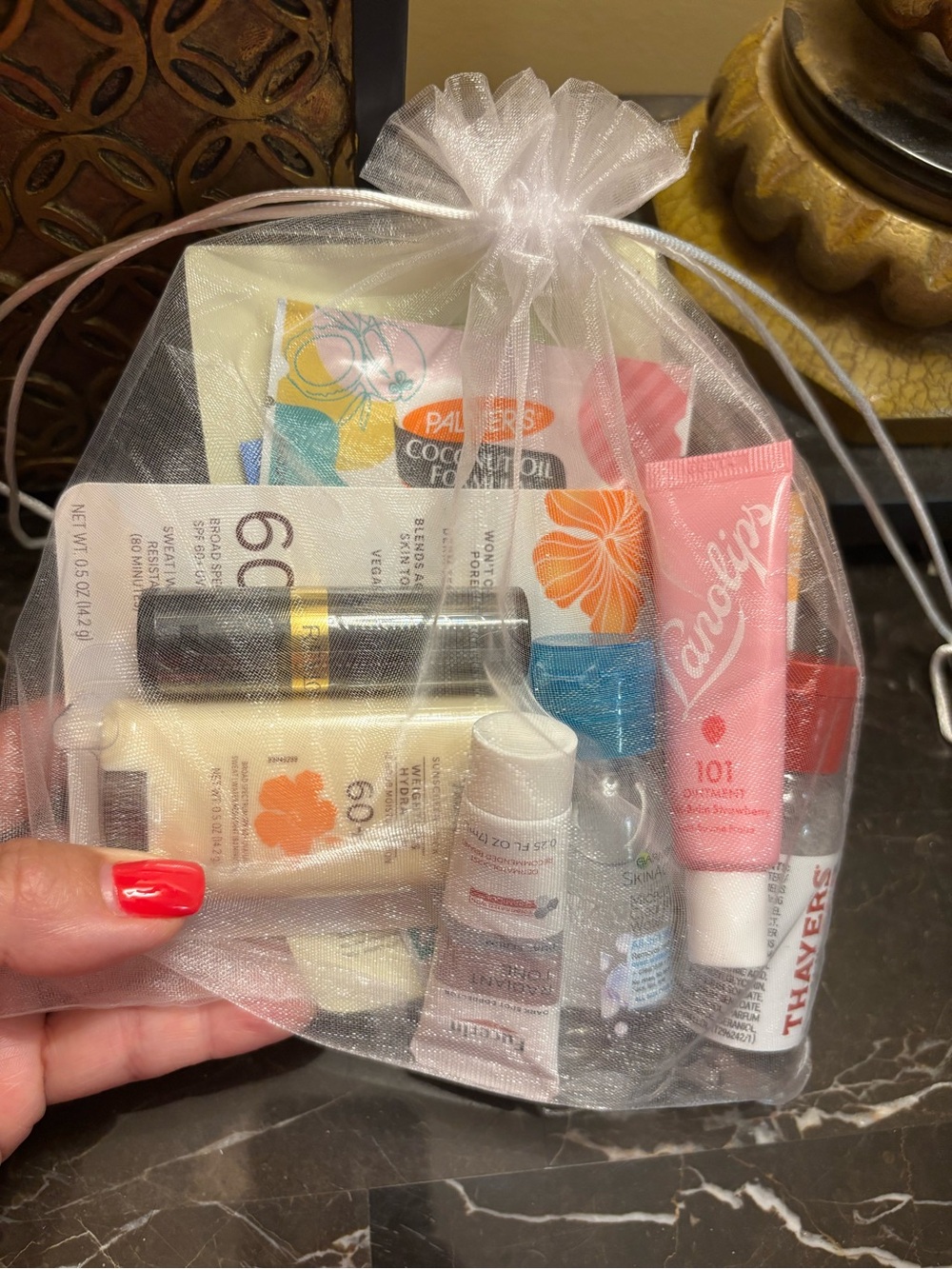 Pink Lip Treatment & Travel Beauty Set
